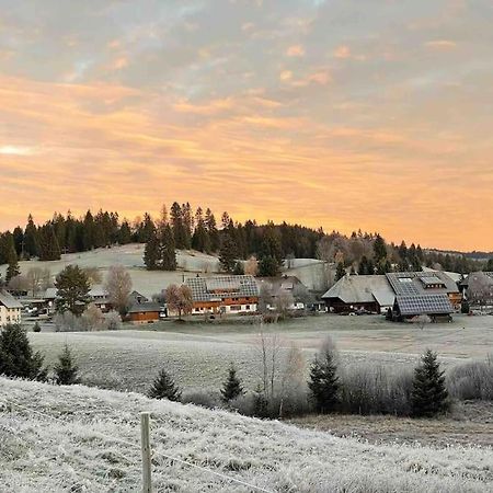 Helle Gemuetliche Ferienwohnung In Schwarzwaldhof Ibach Exteriér fotografie