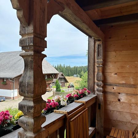 Helle Gemuetliche Ferienwohnung In Schwarzwaldhof Ibach Exteriér fotografie