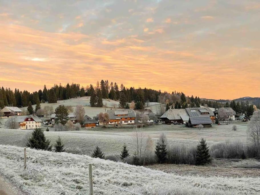 Helle Gemuetliche Ferienwohnung In Schwarzwaldhof Ibach Exteriér fotografie
