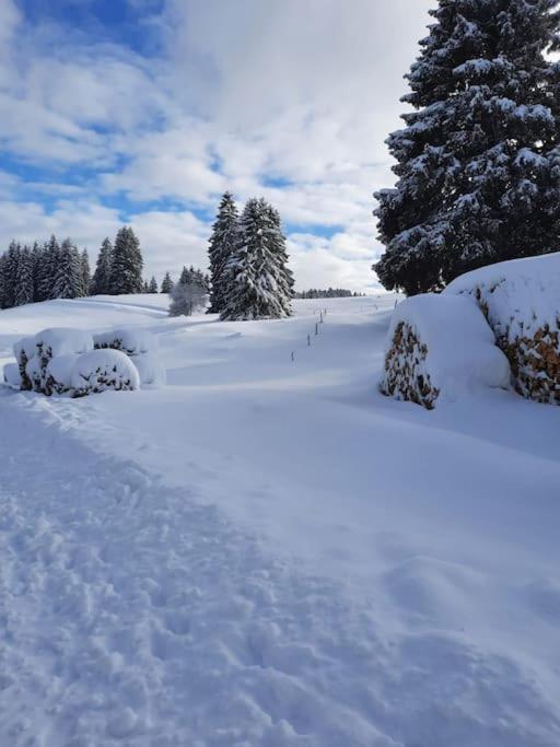 Helle Gemuetliche Ferienwohnung In Schwarzwaldhof Ibach Exteriér fotografie