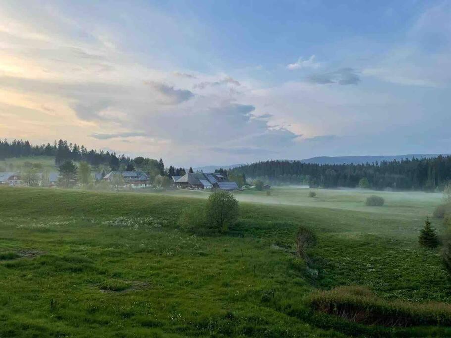 Helle Gemuetliche Ferienwohnung In Schwarzwaldhof Ibach Exteriér fotografie