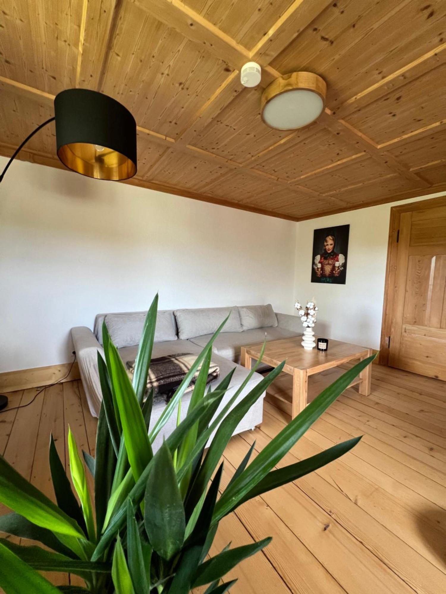 Helle Gemuetliche Ferienwohnung In Schwarzwaldhof Ibach Exteriér fotografie