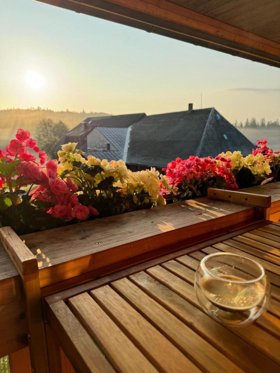 Helle Gemuetliche Ferienwohnung In Schwarzwaldhof Ibach Exteriér fotografie