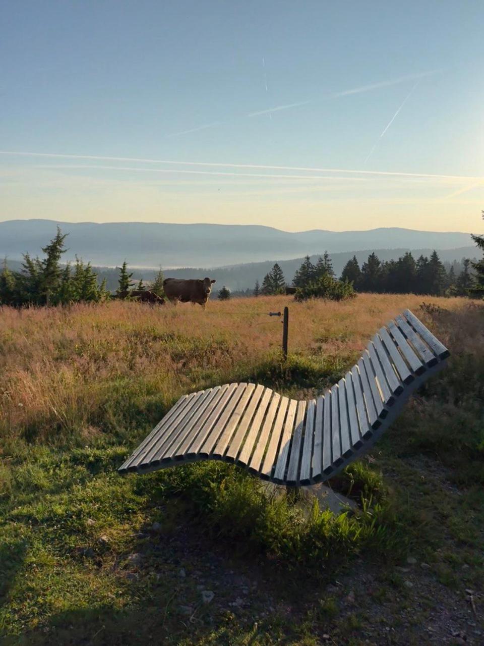 Helle Gemuetliche Ferienwohnung In Schwarzwaldhof Ibach Exteriér fotografie